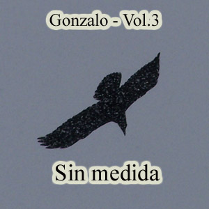 Sin medida -- Gonzalo Montero -- Vol. 3